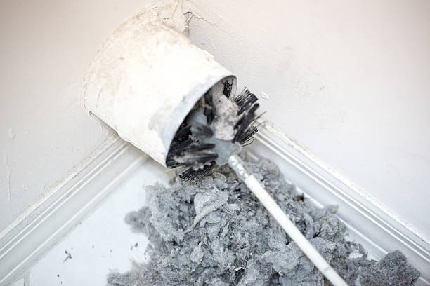 Best HVAC Air Duct Cleaning  in Maili, HI